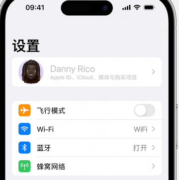 乌恰appleID维修服务iPhone设置中Apple ID显示为灰色无法使用 