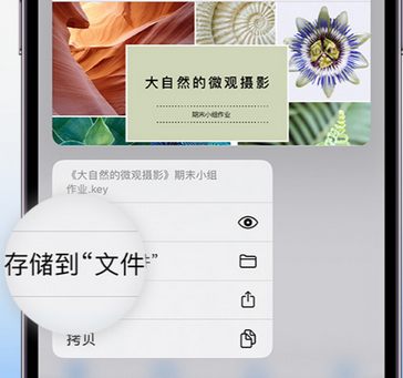 乌恰apple维修中心分享iPhone文件应用中存储和找到下载文件