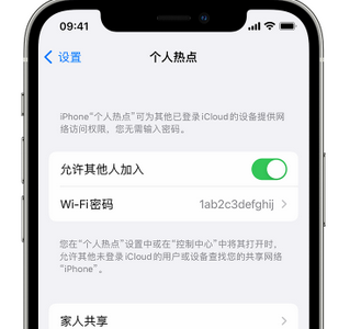 乌恰apple服务站点分享iPhone上个人热点丢失了怎么办