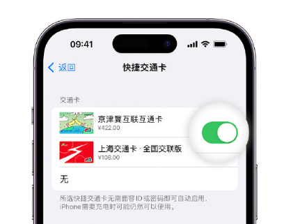 乌恰apple维修点分享iPhone上更换Apple Pay快捷交通卡手绘卡面 