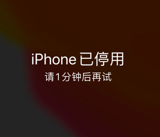 乌恰苹果手机维修分享:iPhone 显示“不可用”或“已停用”怎么办？还能保留数据吗？ 