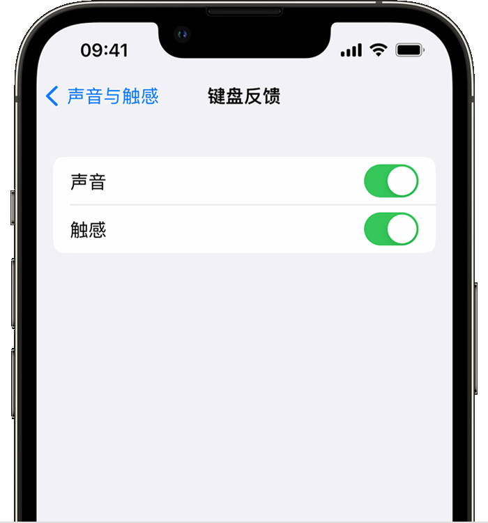 乌恰苹果14维修店分享如何在 iPhone 14 机型中使用触感键盘 