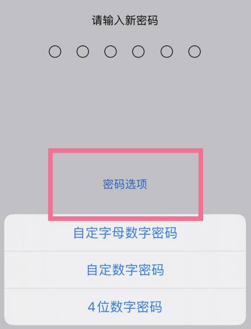 乌恰苹果14维修分享iPhone 14plus设置密码的方法 