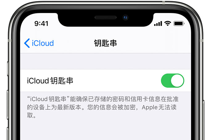 乌恰苹果手机维修分享在 iPhone 上开启 iCloud 钥匙串之后会储存哪些信息 